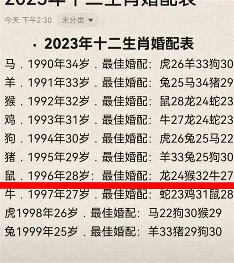 1996属什么